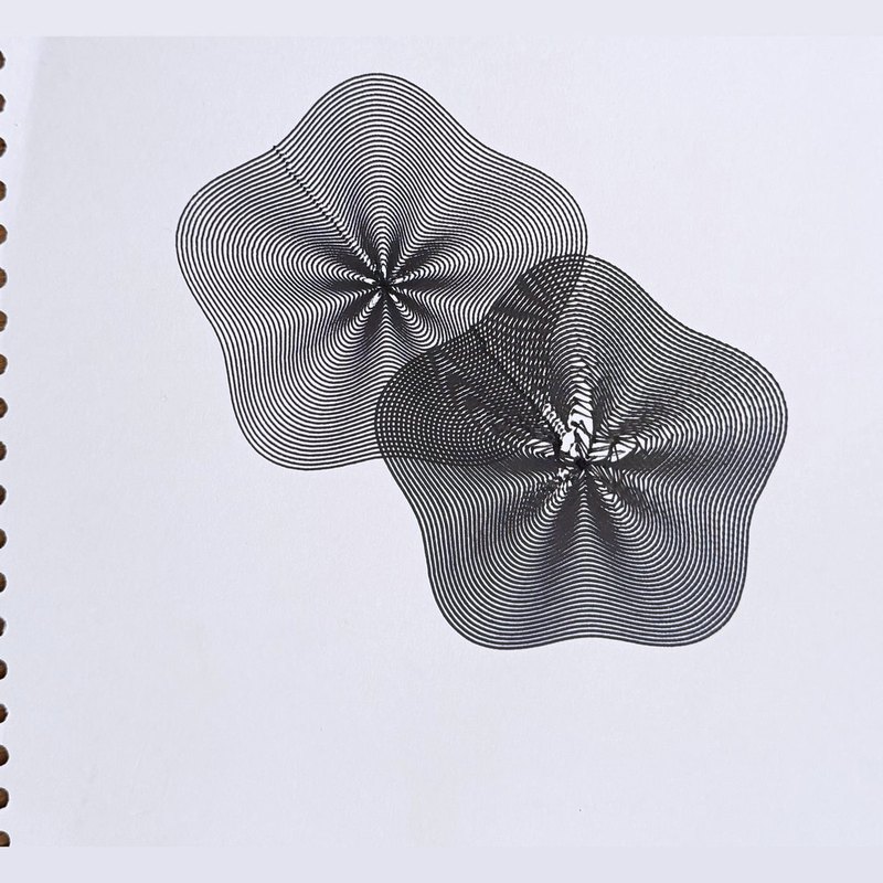 Two overlapping bloom shapes