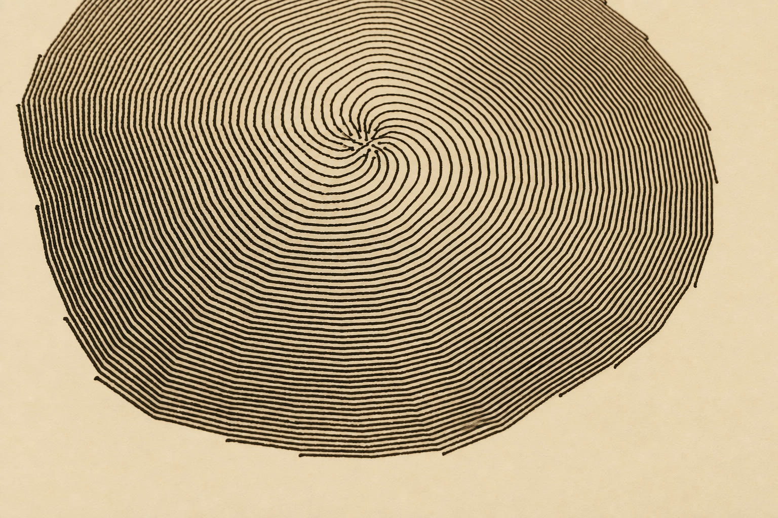 Dense spiral disc drawn by the robot in ink